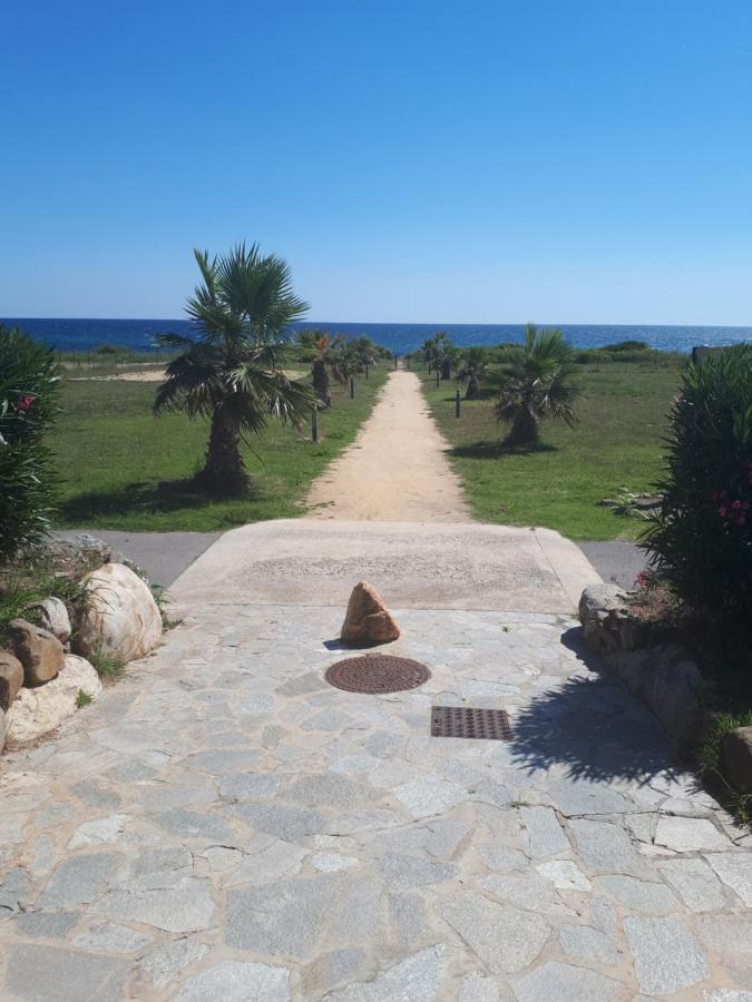 Villa Climatisee A Nuciola Prunete Entre Mer, Montagne Et Piscine Cervione Exteriér fotografie