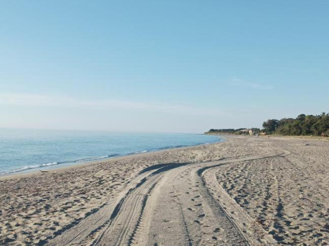 Villa Climatisee A Nuciola Prunete Entre Mer, Montagne Et Piscine Cervione Exteriér fotografie