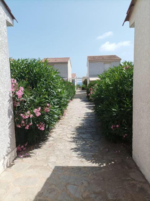 Villa Climatisee A Nuciola Prunete Entre Mer, Montagne Et Piscine Cervione Exteriér fotografie