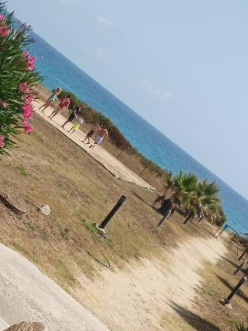 Villa Climatisee A Nuciola Prunete Entre Mer, Montagne Et Piscine Cervione Exteriér fotografie