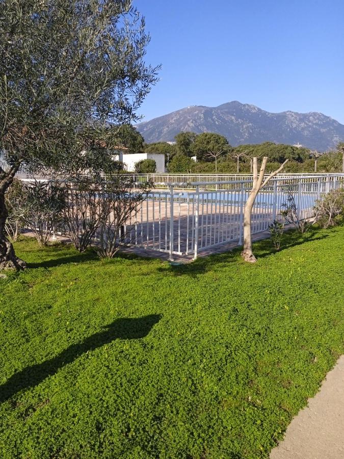 Villa Climatisee A Nuciola Prunete Entre Mer, Montagne Et Piscine Cervione Exteriér fotografie