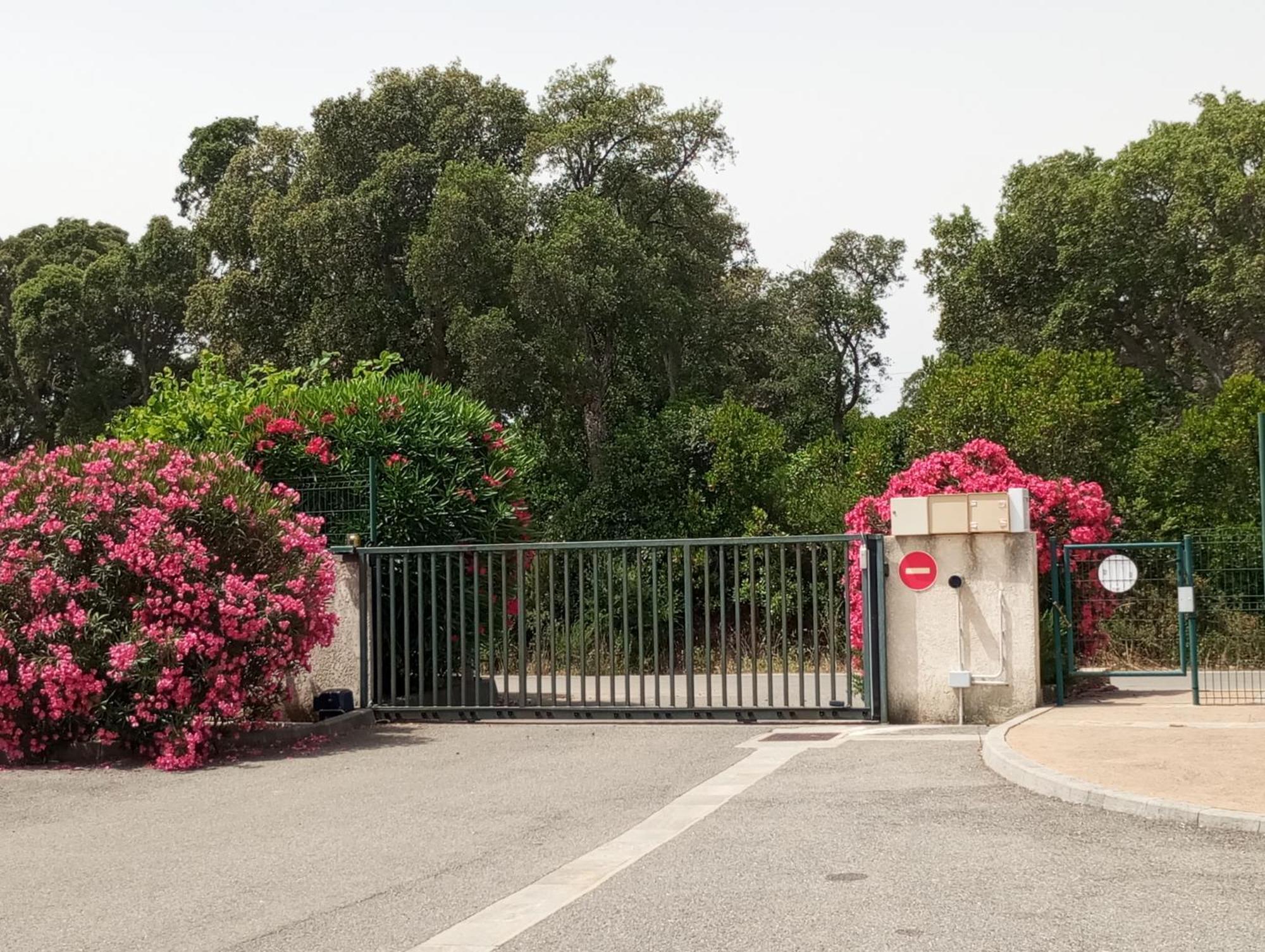 Villa Climatisee A Nuciola Prunete Entre Mer, Montagne Et Piscine Cervione Exteriér fotografie
