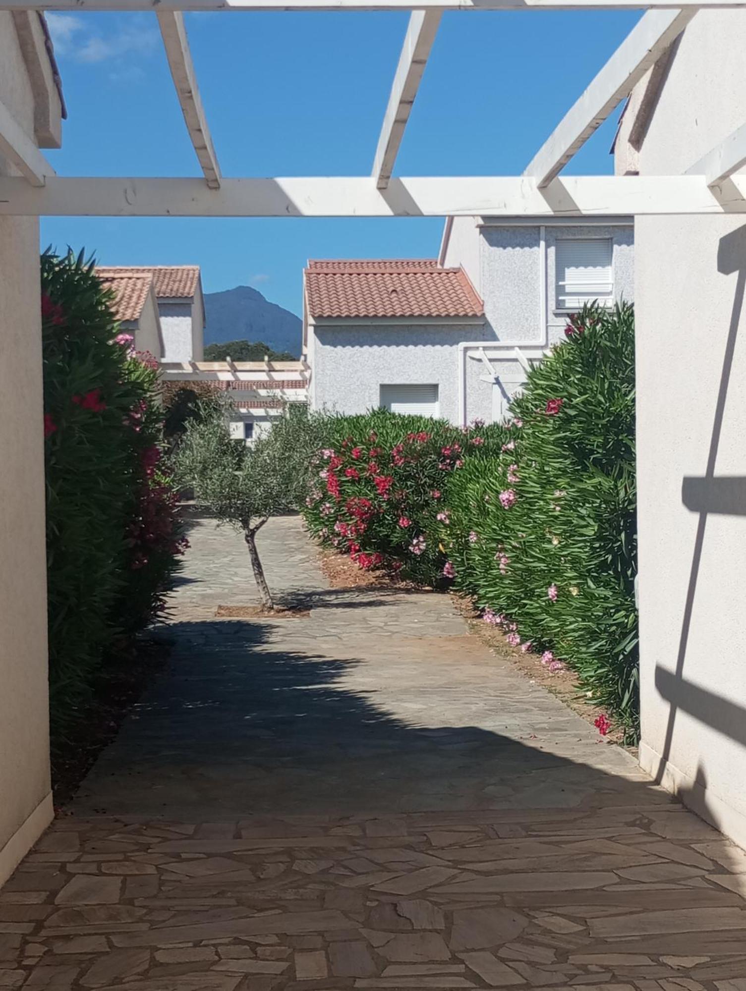Villa Climatisee A Nuciola Prunete Entre Mer, Montagne Et Piscine Cervione Exteriér fotografie